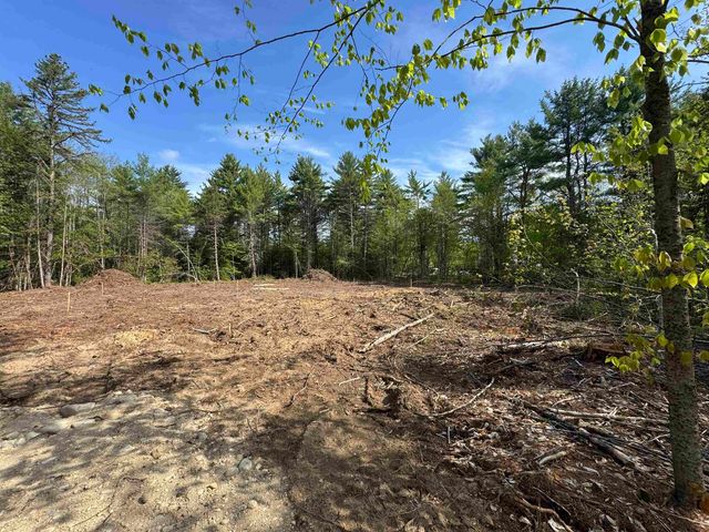 00 Gray Fox Road, Effingham, NH 03882