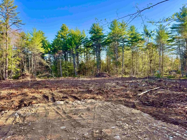 00 Gray Fox Road, Effingham, NH 03882