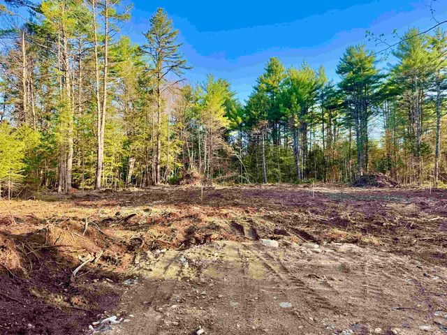 00 Gray Fox Road, Effingham, NH 03882