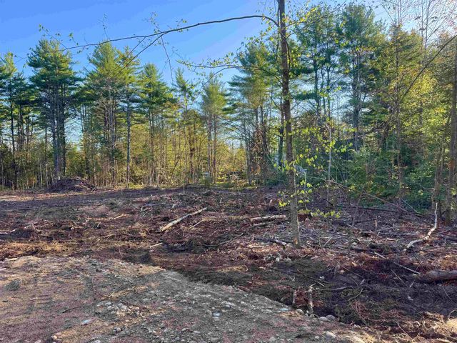00 Gray Fox Road, Effingham, NH 03882