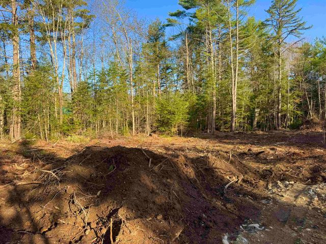 00 Gray Fox Road, Effingham, NH 03882