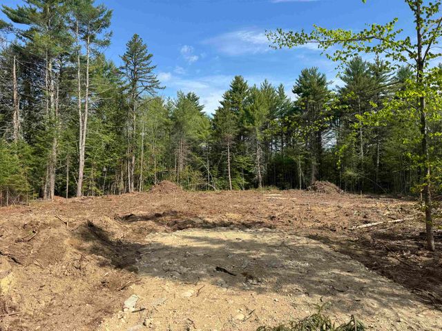00 Gray Fox Road, Effingham, NH 03882
