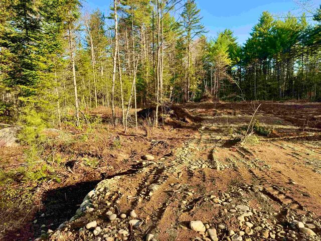 00 Gray Fox Road, Effingham, NH 03882