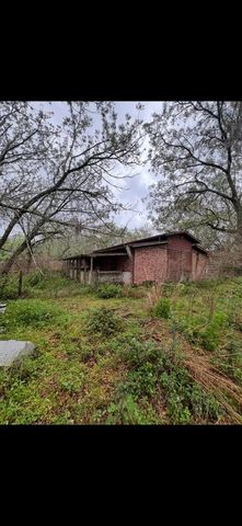 20231 PAINTER PLACE PLACE, Spring Hill, FL 34610