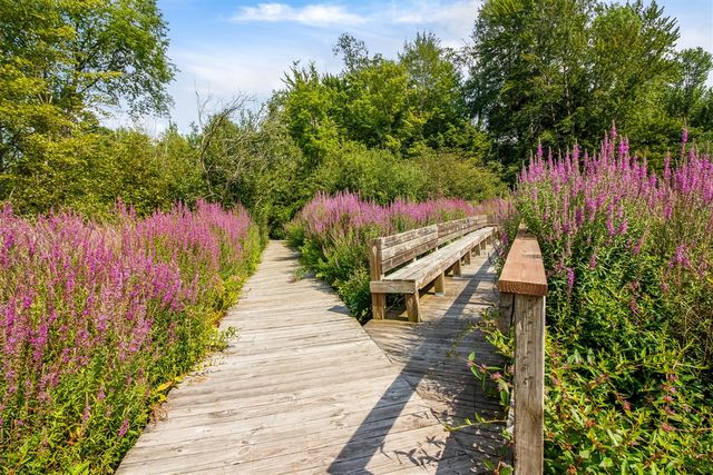 3561 Kingfisher Cove Drive 1, Saugatuck, MI 49453