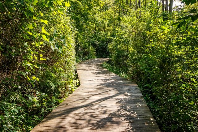 3561 Kingfisher Cove Drive 1, Saugatuck, MI 49453