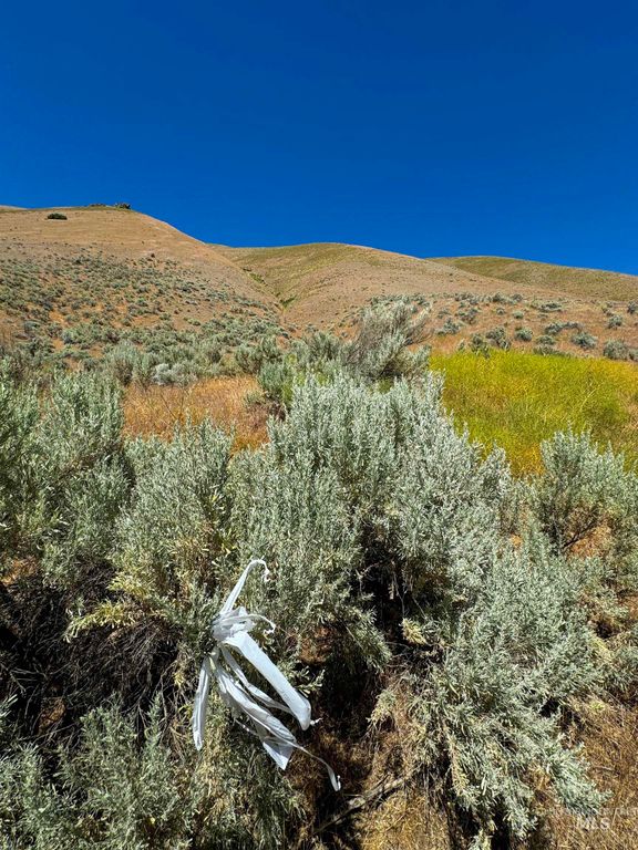 Lot 2, Parcel 1 Dennett Creek Rd, Weiser, ID 83672 photo 5
