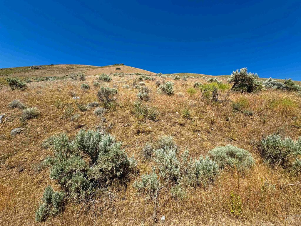 Lot 2, Parcel 1 Dennett Creek Rd, Weiser, ID 83672 photo 9
