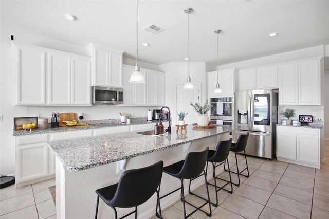 264 SIESTA VISTA COURT, Davenport, FL 33896