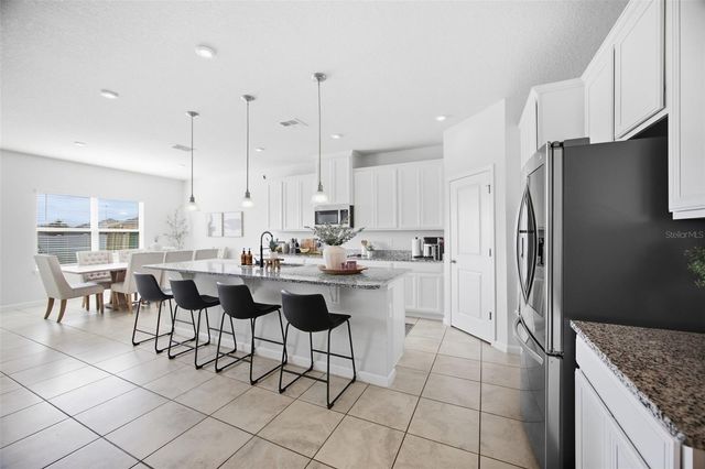 264 SIESTA VISTA COURT, Davenport, FL 33896