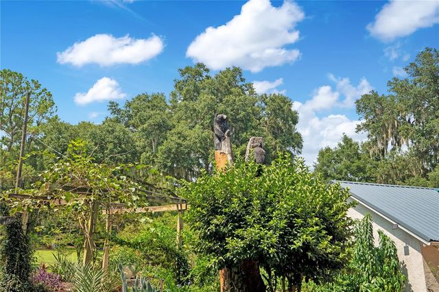41832 CARRIE LANE, Altoona, FL 32702