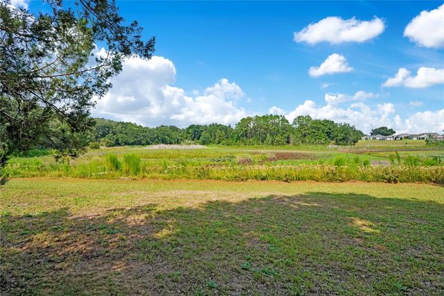 41832 CARRIE LANE, Altoona, FL 32702