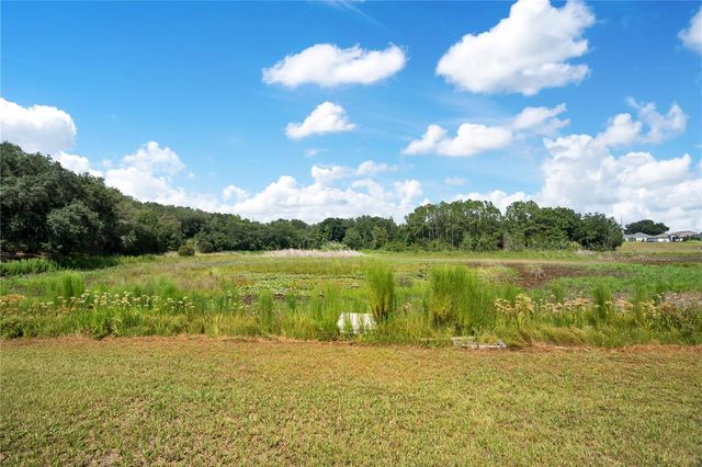 41832 CARRIE LANE, Altoona, FL 32702