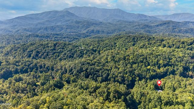 825829 Willow Brook Way, Gatlinburg, TN 37738