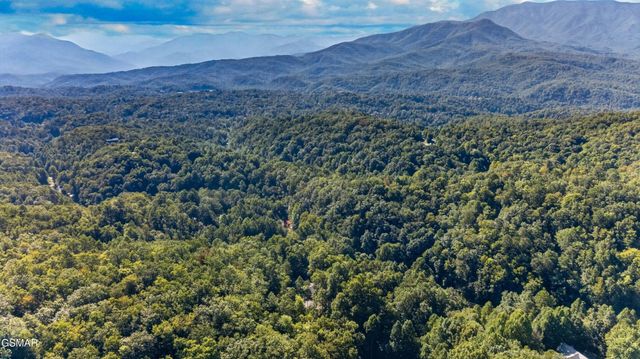 825829 Willow Brook Way, Gatlinburg, TN 37738