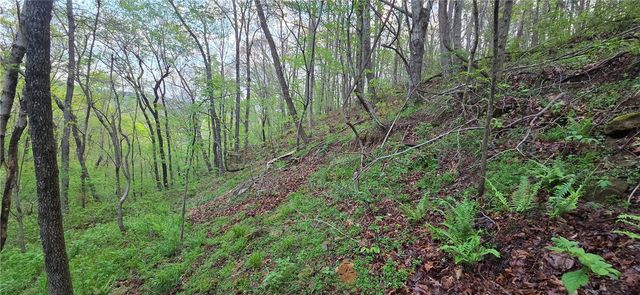 14497 Mountain Road, Winslow, AR 72959