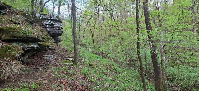 14497 Mountain Road, Winslow, AR 72959