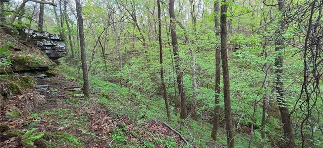 14497 Mountain Road, Winslow, AR 72959