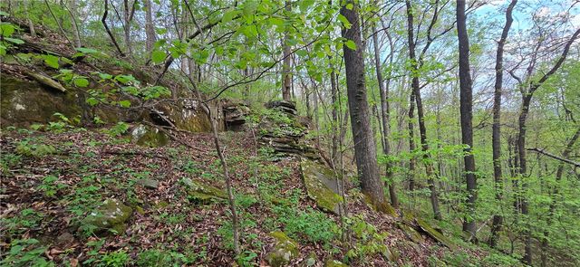 14497 Mountain Road, Winslow, AR 72959