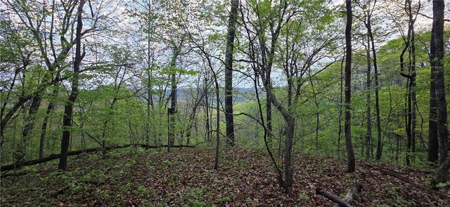 14497 Mountain Road, Winslow, AR 72959