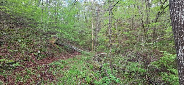 14497 Mountain Road, Winslow, AR 72959