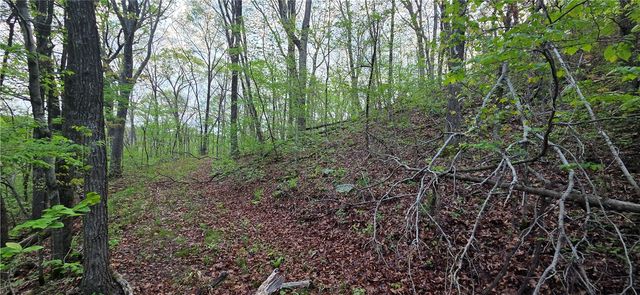 14497 Mountain Road, Winslow, AR 72959