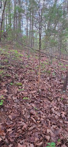 14497 Mountain Road, Winslow, AR 72959