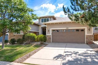 1458 Sky Rock Way, Castle Rock, CO 80109