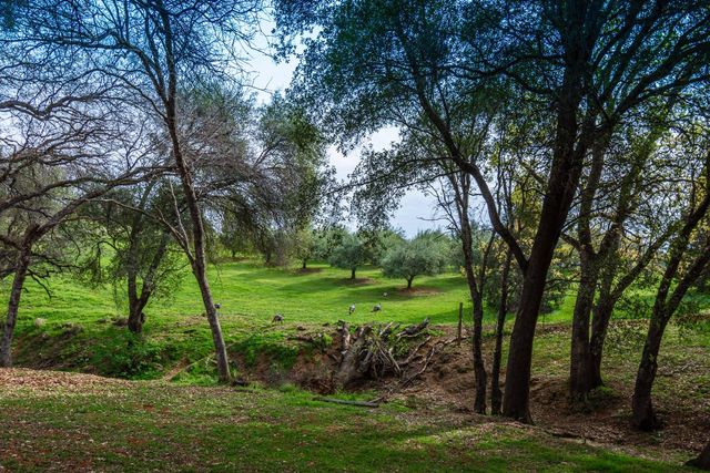 8560 Bar Crest Dr, Placerville, CA 95667