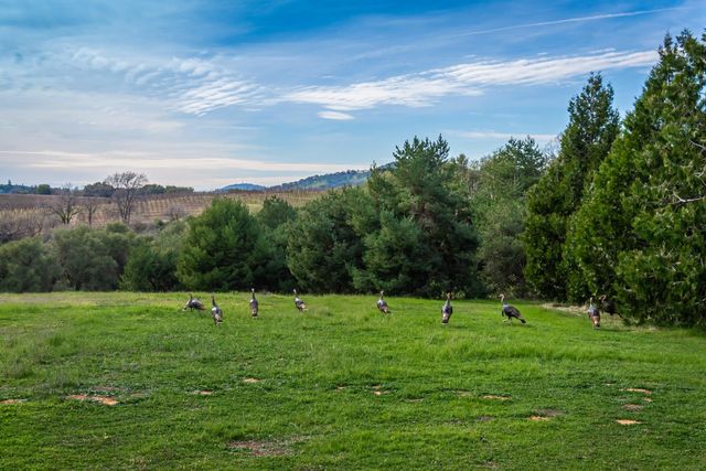 8560 Bar Crest Dr, Placerville, CA 95667