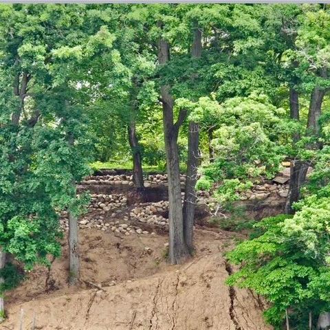 8771 Chain O Lakes Drive, Delton, MI 49046