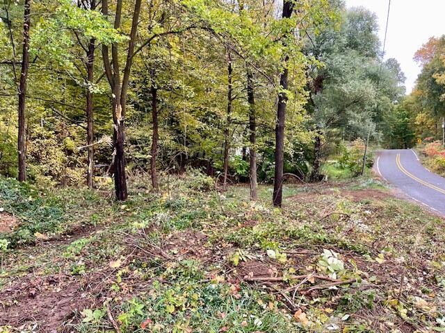 8771 Chain O Lakes Drive, Delton, MI 49046