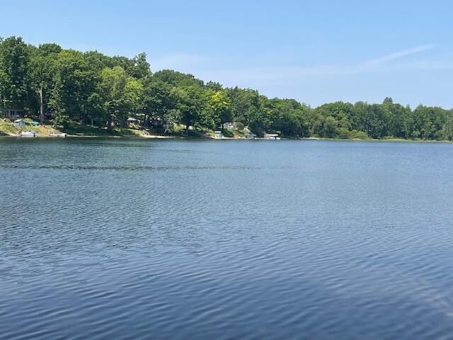 8771 Chain O Lakes Drive, Delton, MI 49046