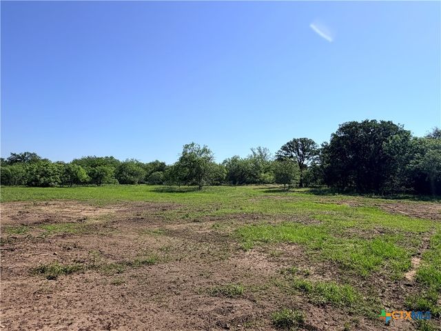 TBD FM 86, Luling, TX 78648