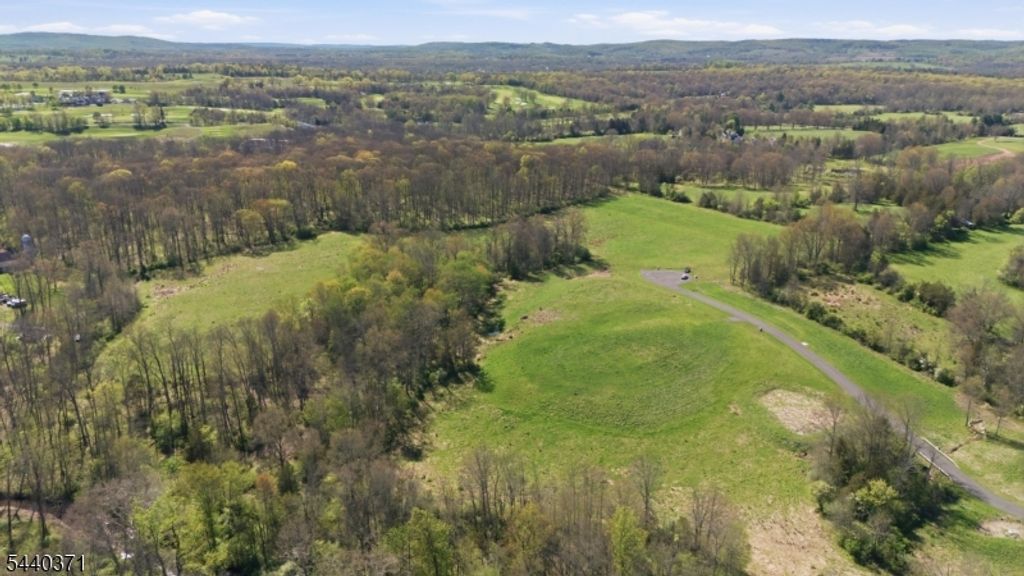 1310 LAMINGTON ROAD LOT 19.06, Bedminster Twp., NJ 07921 — photo 4
