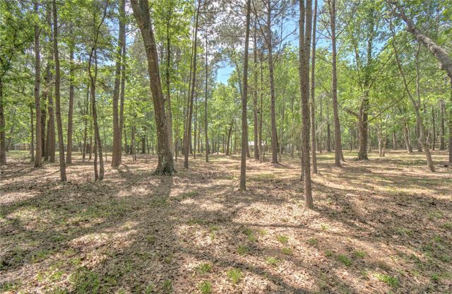 15508 Crown Oaks Drive, Montgomery, TX 77316