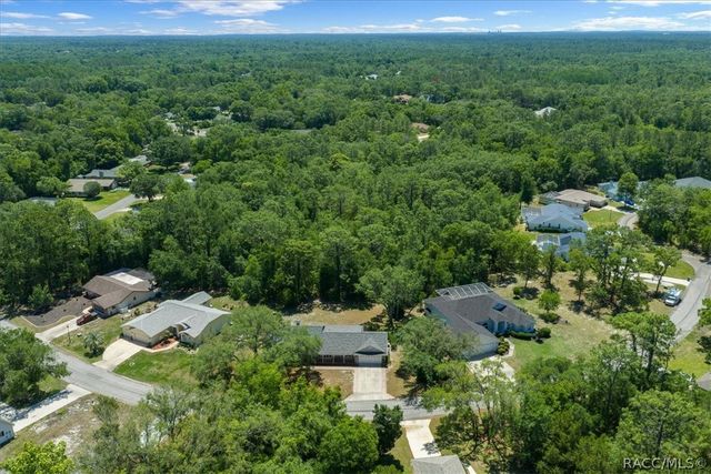 11 Sycamore Court W, Homosassa, FL 34446