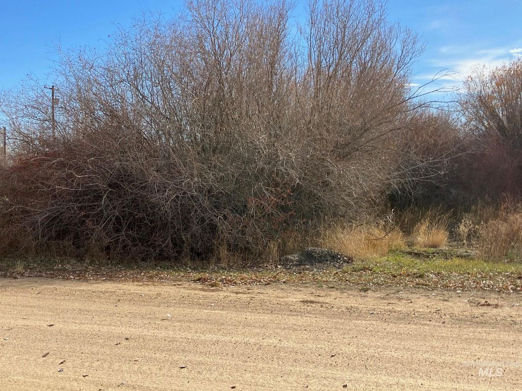 232 West Willow Avenue, Fairfield, ID 83327 photo 5