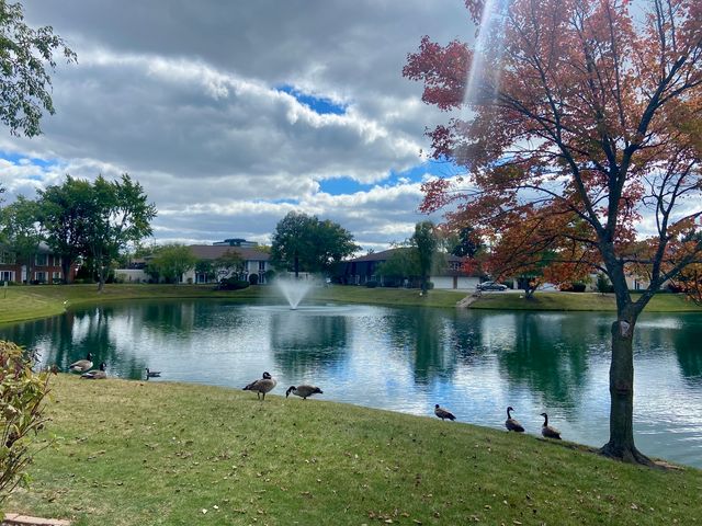 1306 S New Wilke Road 2B, Arlington Heights, IL 60005