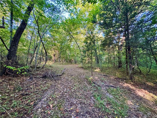 TBD Smith Ridge Road, Garfield, AR 72732