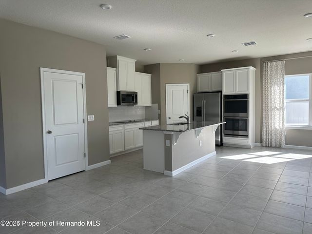 19052 Pebble Wood Lane, Spring Hill(pasco), FL 34610