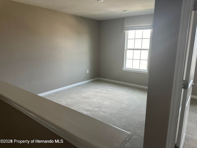 19052 Pebble Wood Lane, Spring Hill(pasco), FL 34610