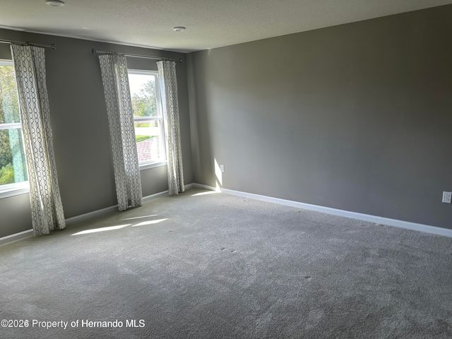 19052 Pebble Wood Lane, Spring Hill(pasco), FL 34610