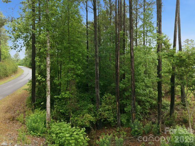 1626 Lake Vista Drive NE, Connelly Springs, NC 28612