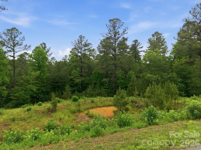 1626 Lake Vista Drive NE, Connelly Springs, NC 28612