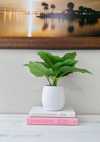 2133 Kings Cross Street, Titusville, FL 32796