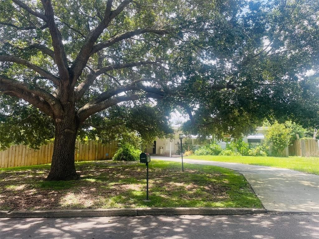 2821 CHANTILLY AVENUE, Winter Park, FL 32789