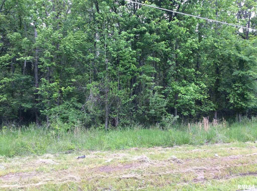 Image 6 of property listing at 11530 N 28TH Street, Mt Vernon, IL 62864