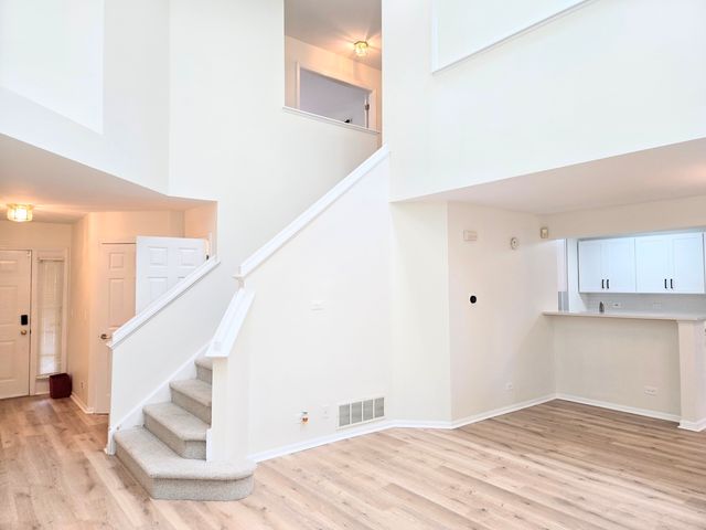 168 Holmes Way, Schaumburg, IL 60193