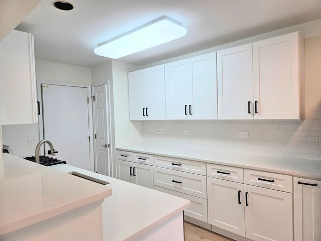 168 Holmes Way, Schaumburg, IL 60193
